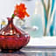Hotel Adria B&B - Colazione fino alle 12