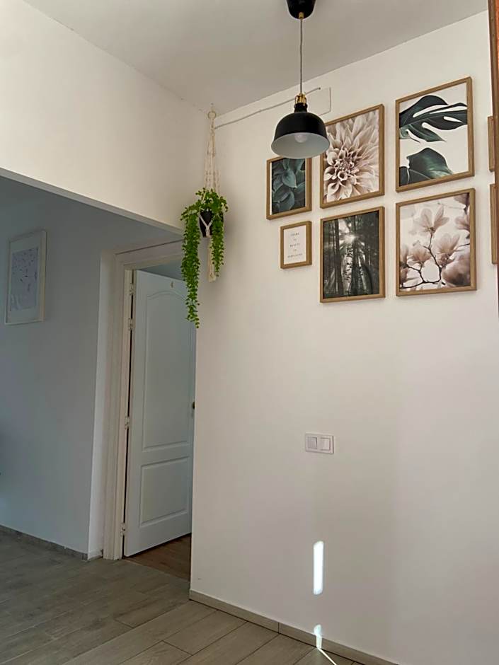 Orange Vibes Guest house