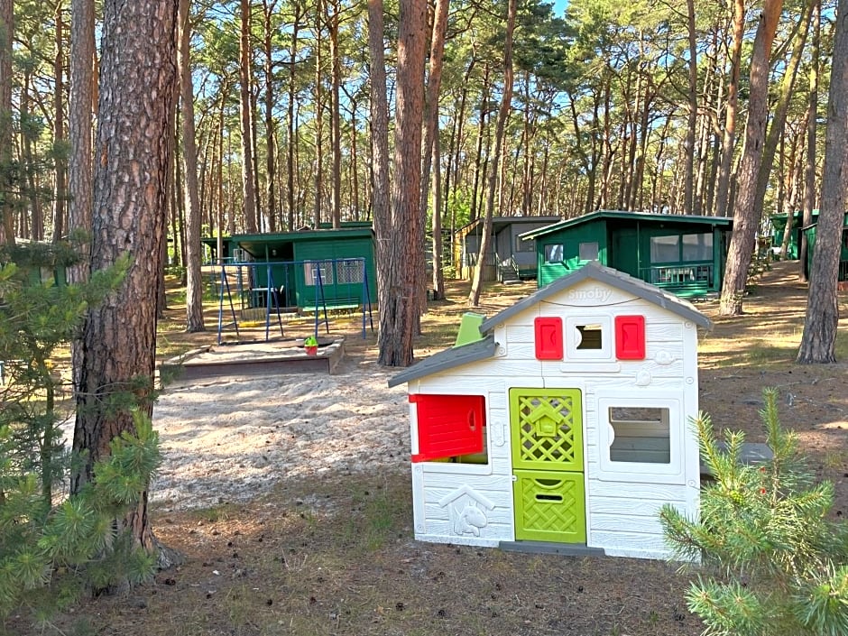 Domki letniskowe Delfin