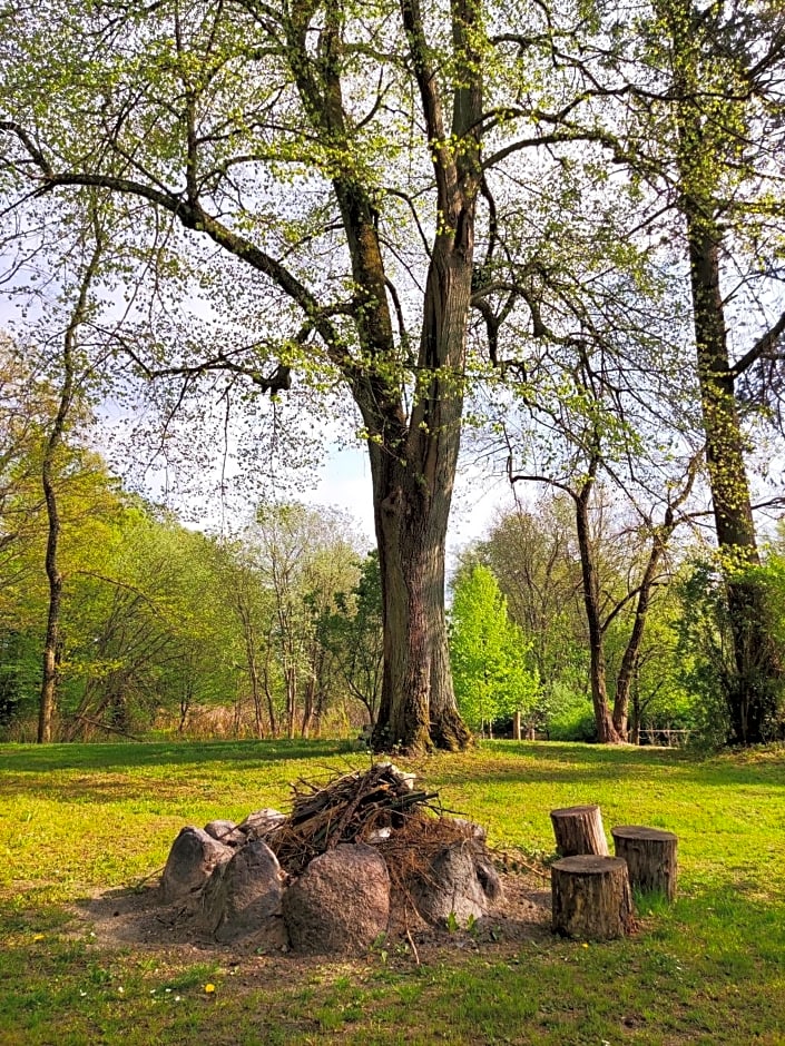 Bed & Breakfast - Warniłęg