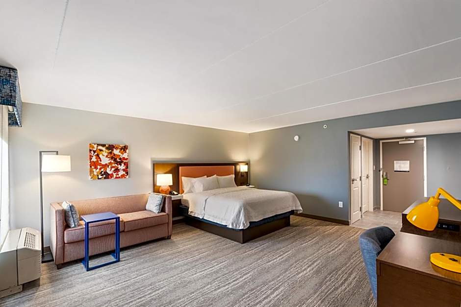 Photo 1 of 4 of 1 King Bed with Sofabed