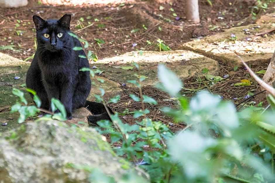 Bella Vita Style rooms & apartments