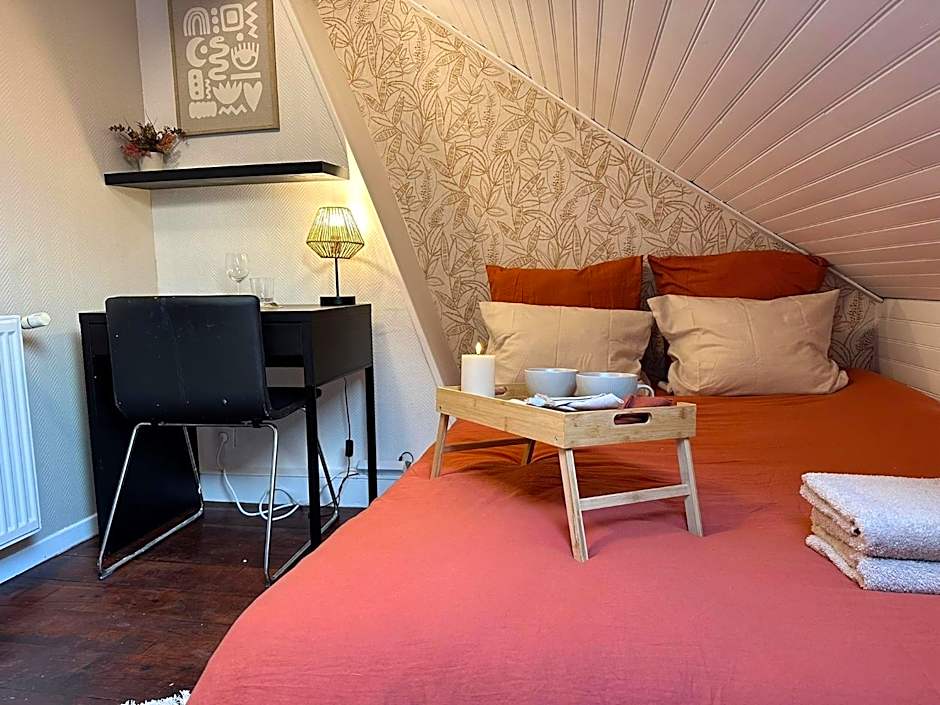 LeRelaisdOdile - Apparts Conforts - LILLE