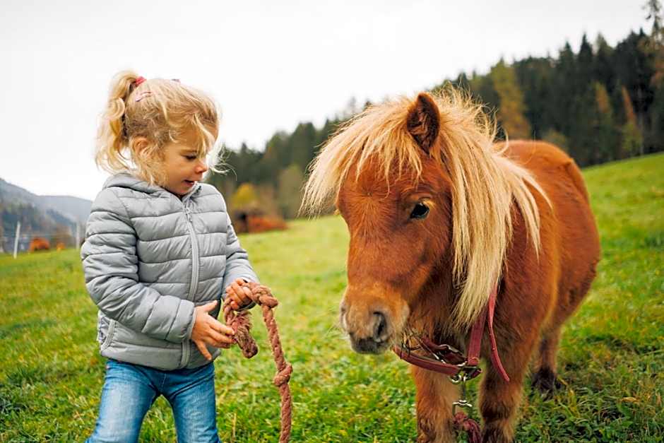 Der Kirchheimerhof - Superior