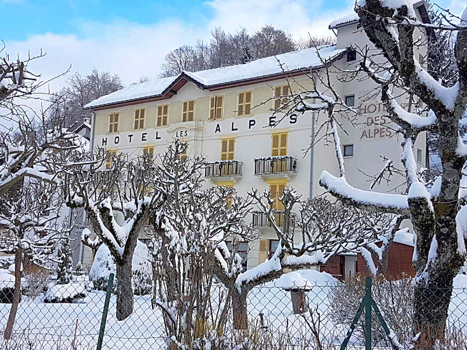 Hotel des Alpes