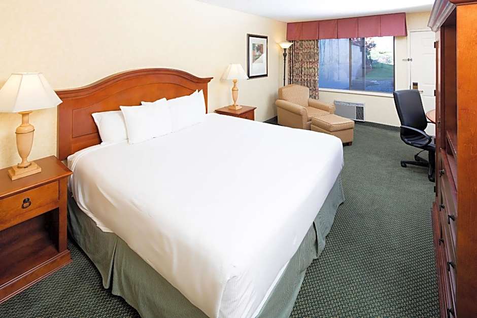 Foto 1 daripada 4 — 1 King Bed, Accessible