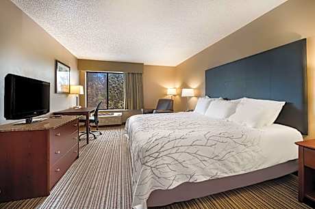 King Room - Non-Smoking