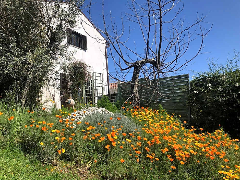 House Of The Three Marias