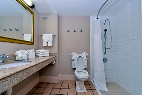 King Room with Mobility Accessible Roll-In Shower - Non-Smoking