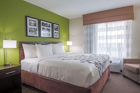 King Room - Accessible/Non-Smoking