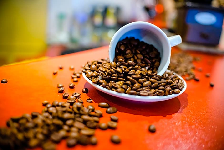 Holzschuhs Schwarzwaldhotel