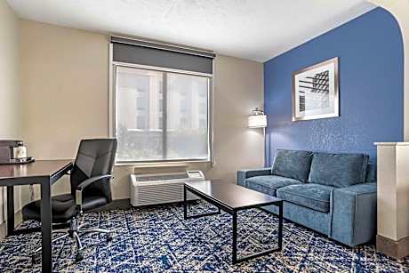 Suite-1 King Bed, Non-Smoking, Sofabed, Mini Suite, Microwave And Refrigerator, High Speed Internet 