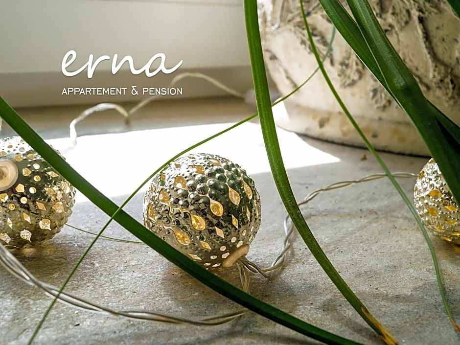 Pension Apartment Erna