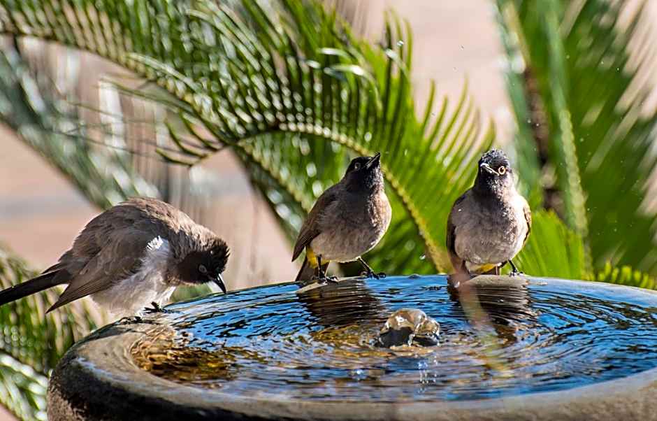 Heidelberg Kloof Lodge