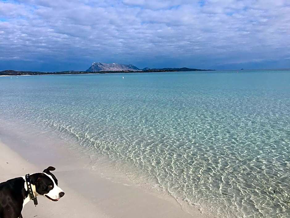 HOTEL Al FARO , SPIAGGIA LA CINTA ,SAN TEODORO