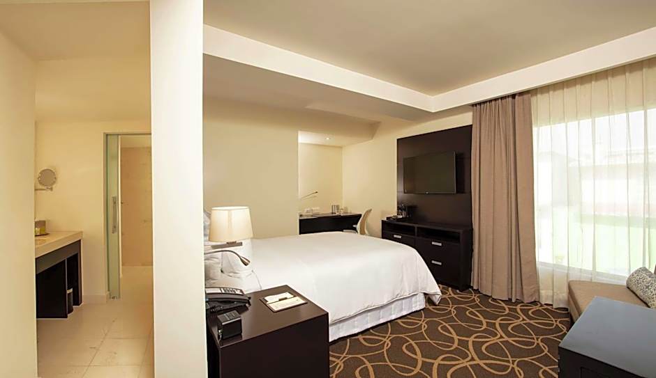 DoubleTree by Hilton Toluca