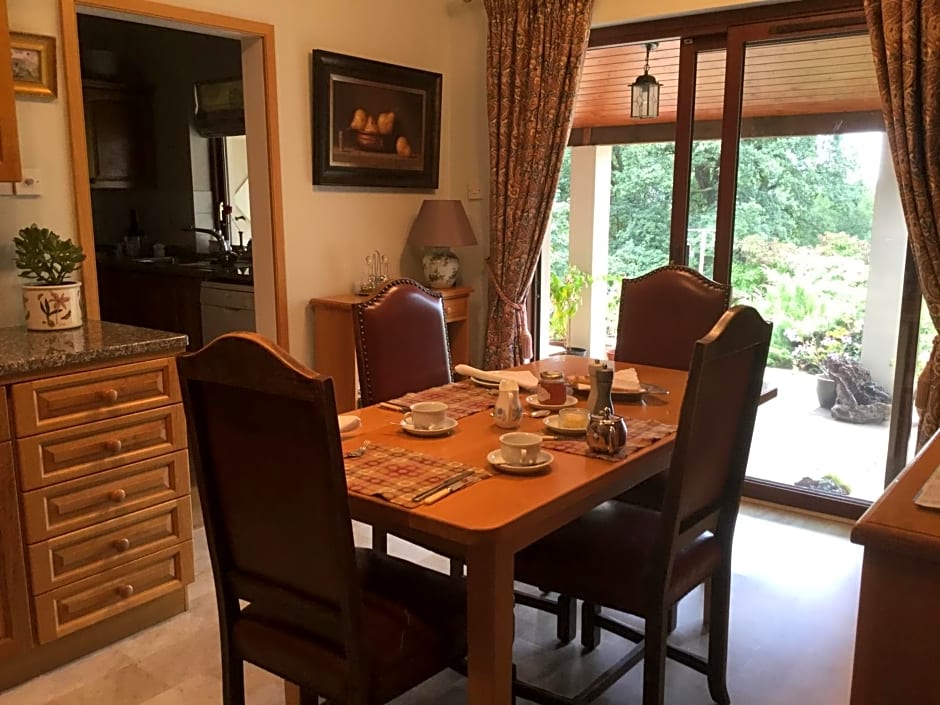 Dwynant - A Room with a View