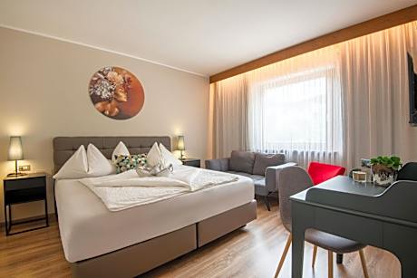 Double Room with Mountain View