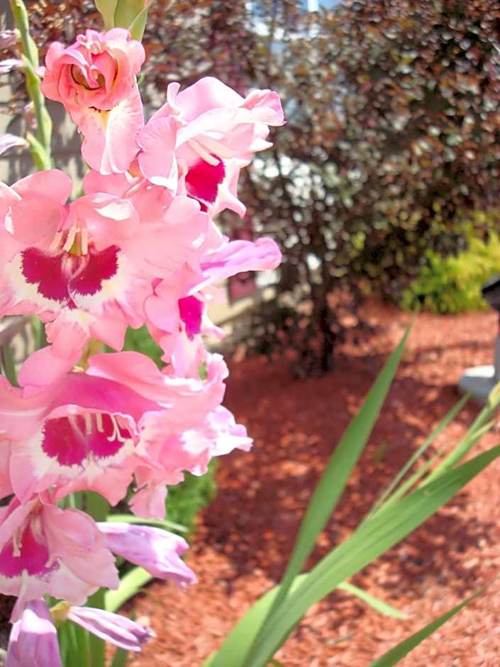 Country Inn & Suites by Radisson, Carlisle, PA