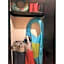 Perfectly located spacious apartment with 2 balconies