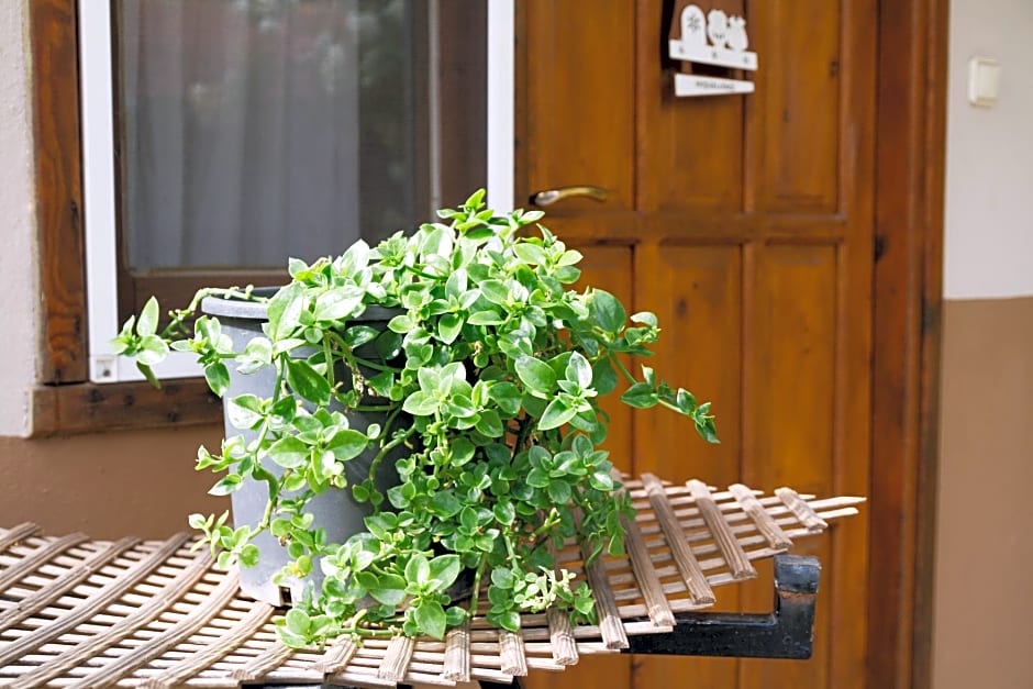 Village Garden Pansiyon