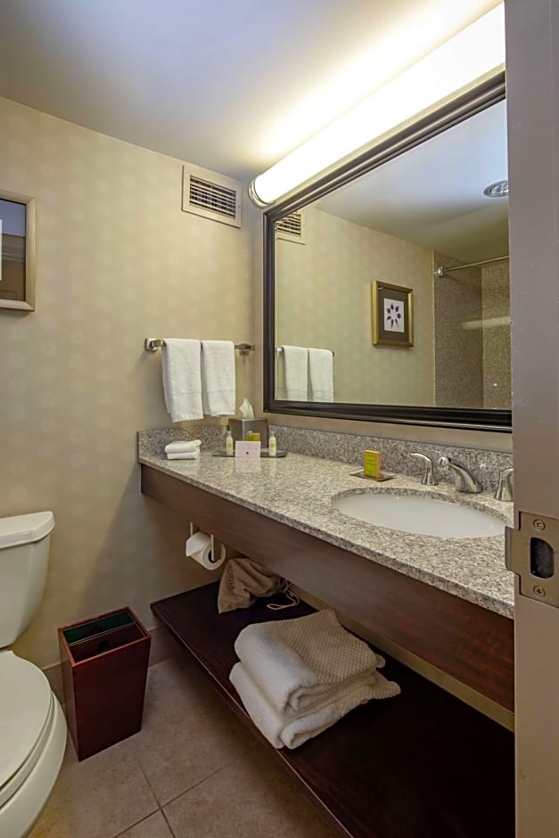 Photo 1 of 1 of Hearing Accessible Queen With Bathtub Non Smoking
