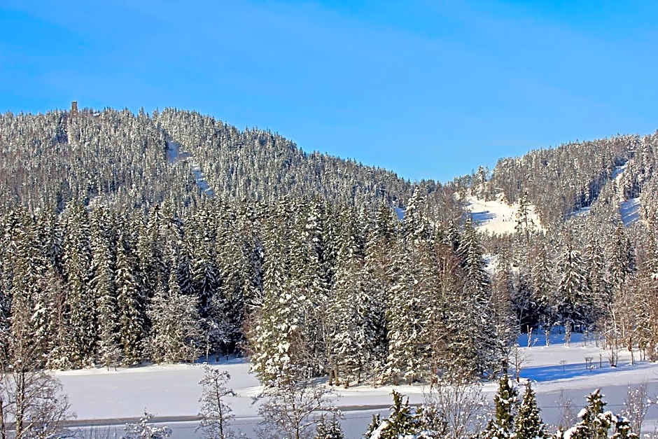 Hestraviken Hotell & Spa