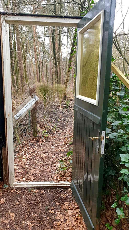 Pipowagen Bed bij Bos