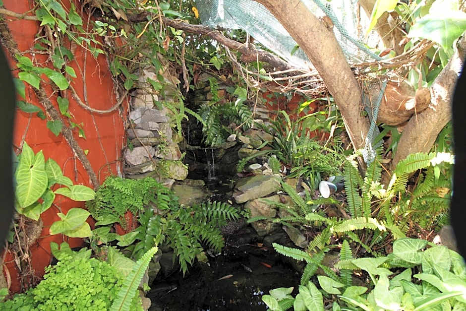 Zoete Inval Travelers Lodge Guesthouse Hermanus