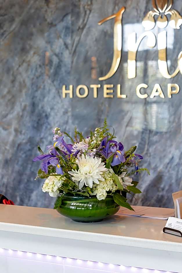 Iris Hotel Cape Cod