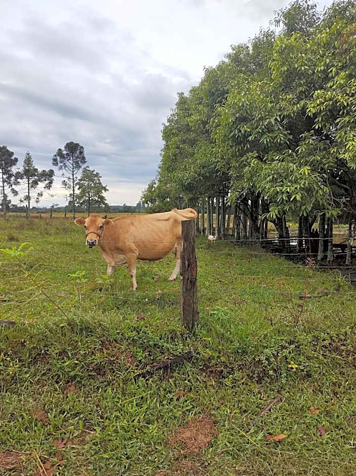 HOSPEDAGEM LA NO SITIO