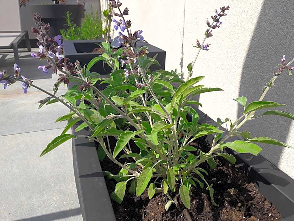 Hotel Zum Tiroler Adler