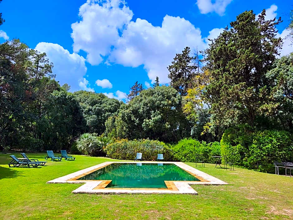 Casa Viña de Alcántara