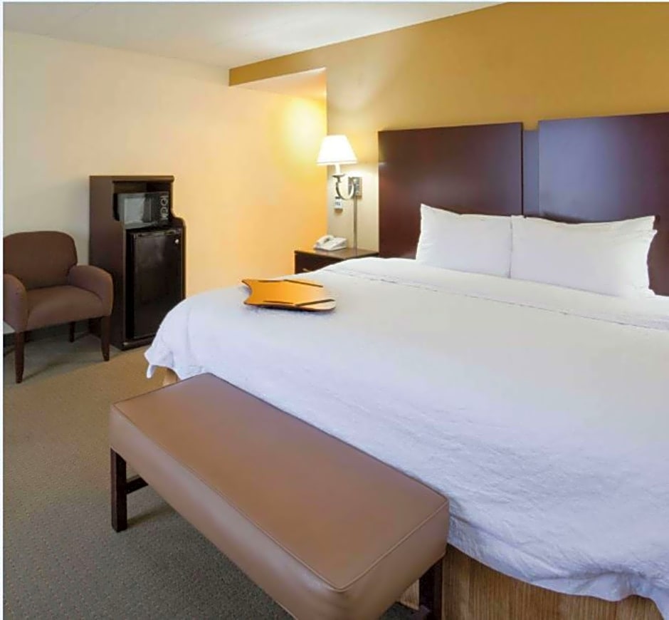 Hampton Inn By Hilton & Suites Lino Lakes