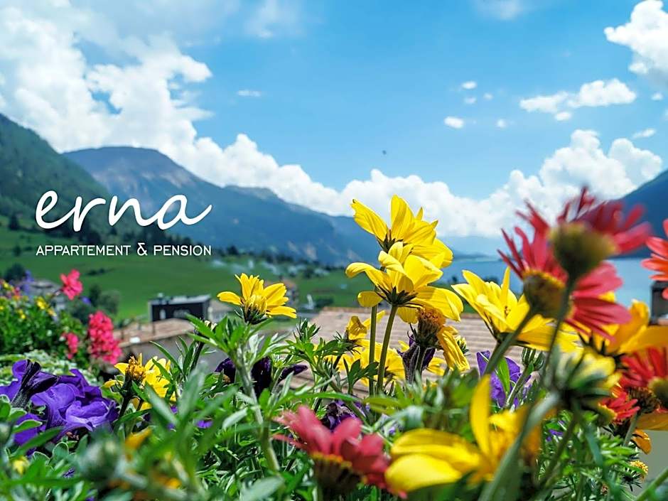 Pension Apartment Erna