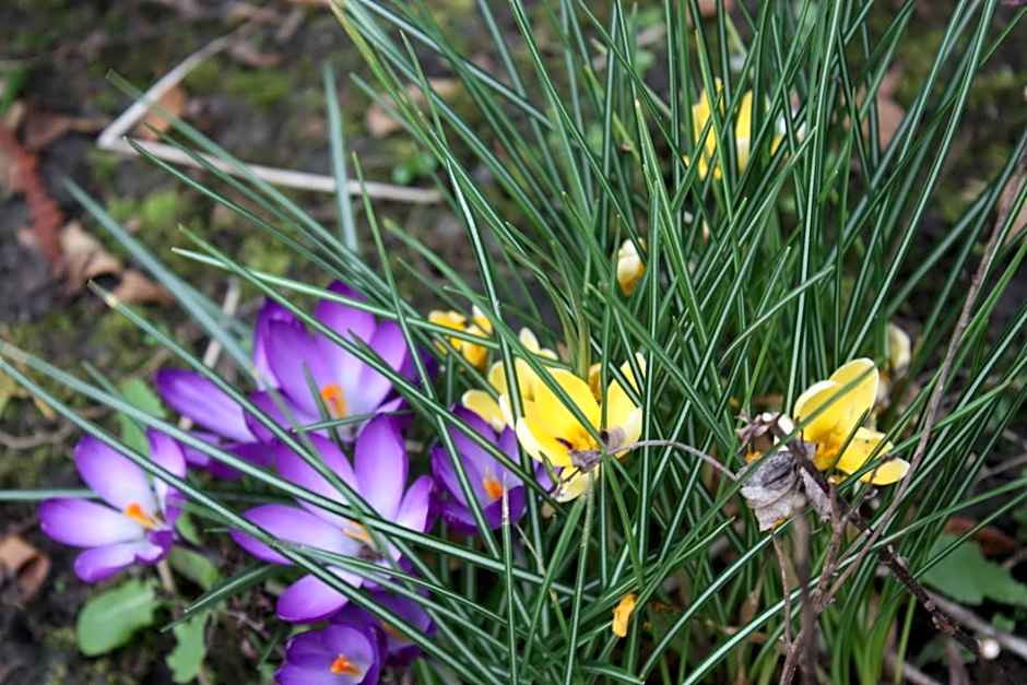 Vakantiepark Zijpersluis