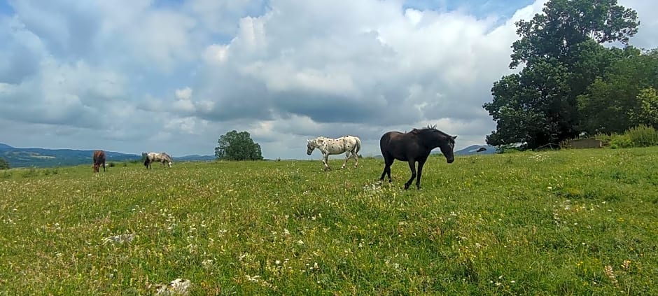 Domaine Le Lanis Chambre d'hôtes avec spa sur réservation