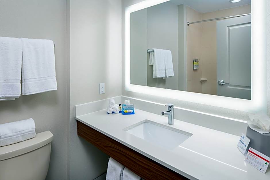Holiday Inn Express Hotel & Suites Dallas South - DeSoto By IHG