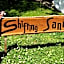 Shifting Sands Surf Camp