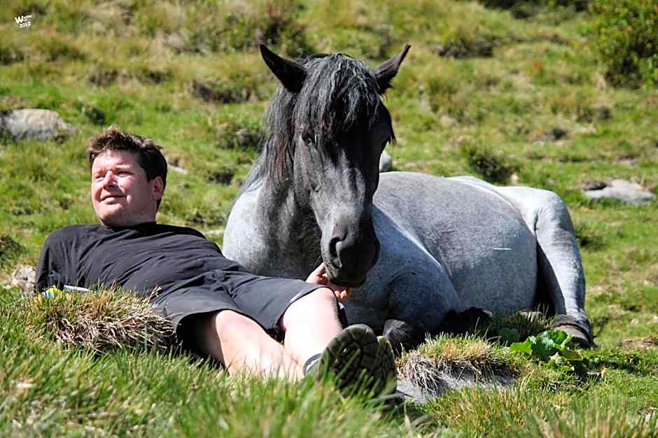 Landhotel Postgut - Tradition seit 1549