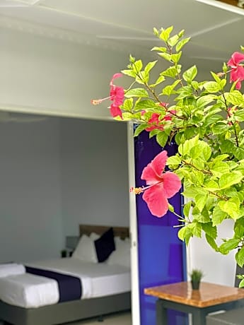 Tides Dhigurah