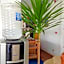 Red Sea Relax Hotel