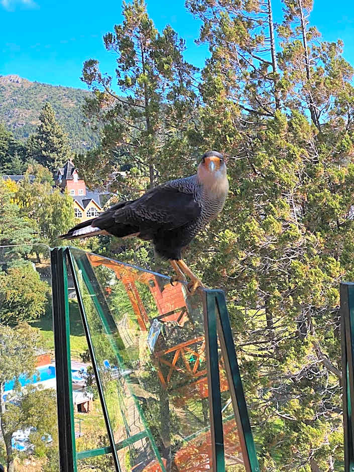 Charming Luxury Lodge & Private Spa