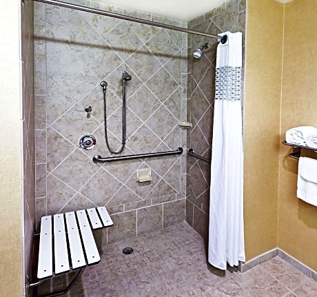 1 King Mobility Hearing Accessible Roll In Shower Non-Smoking