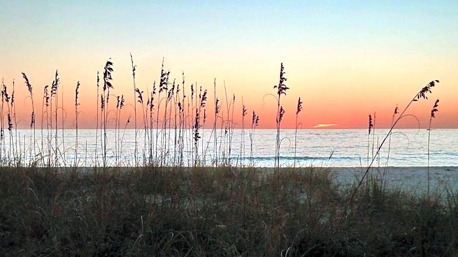 Harbourside 7718- Premier