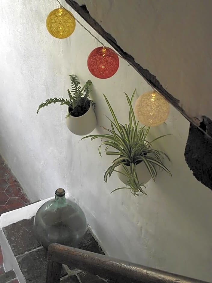 Longo Mai – Apt En Provence, UT