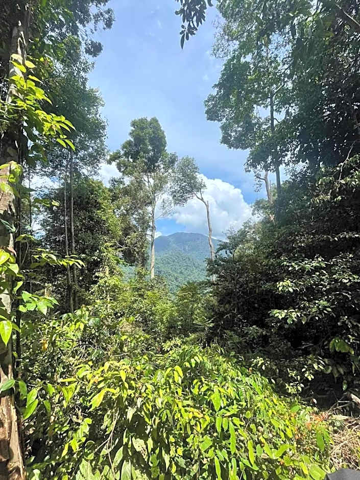 Lawang Inn Restaurant & Jungle Trek