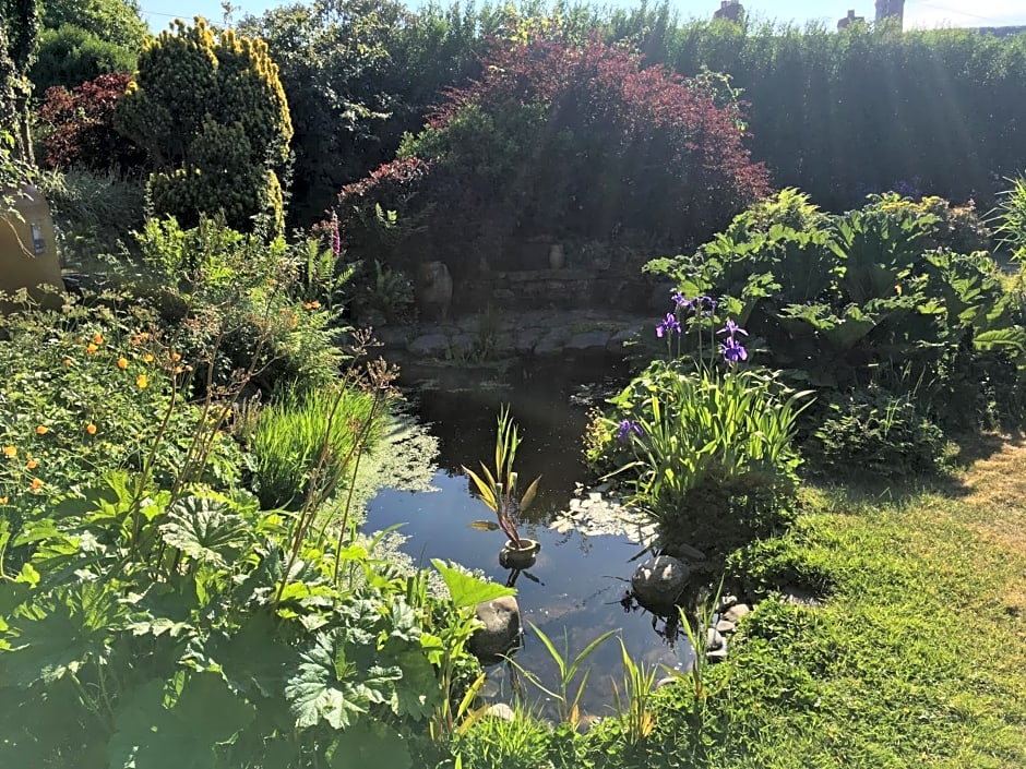 Slerra Hill Bed and Breakfast, Clovelly