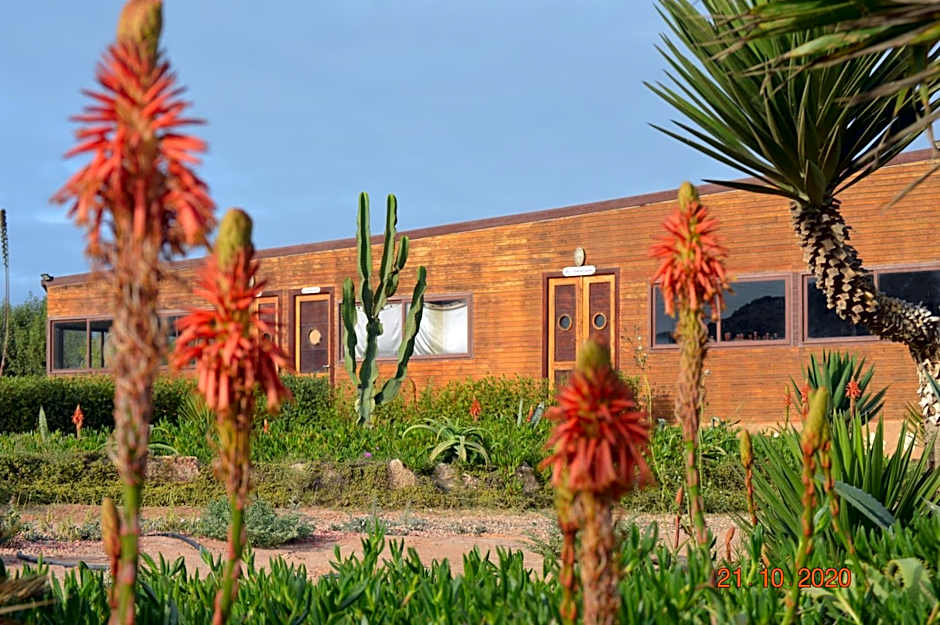 Dakhla Kitesurf World