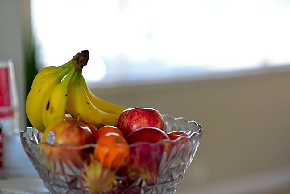 Regency Inn & Suites Sarasota